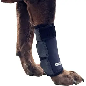 Front Leg Compression Bandage for Large Dogs - Prevents Eczema, Lick Granules, Blisters, Hot Spots, Calluses - Provides Joint Support, Reduces Inflammation and Stiffness - Large Dog/X-Large Dog Protective Gear