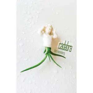 USED-Cadabra by Rosenberg, Dan (Paperback)