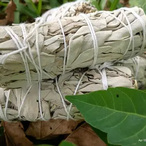 Energy Clearing Sage Bundle | Spiritual Cleansing Ritual | Remove Negative Energy | Smudging Kit for Protection & Peace