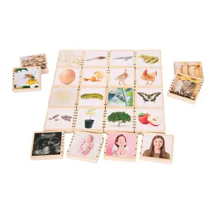 212 MAIN Birch Wood Lifecycle Building Blocks - Self-Correcting Cat Toy Tiles, Ideal for Feline Playtime, Suitable for Ages 0+