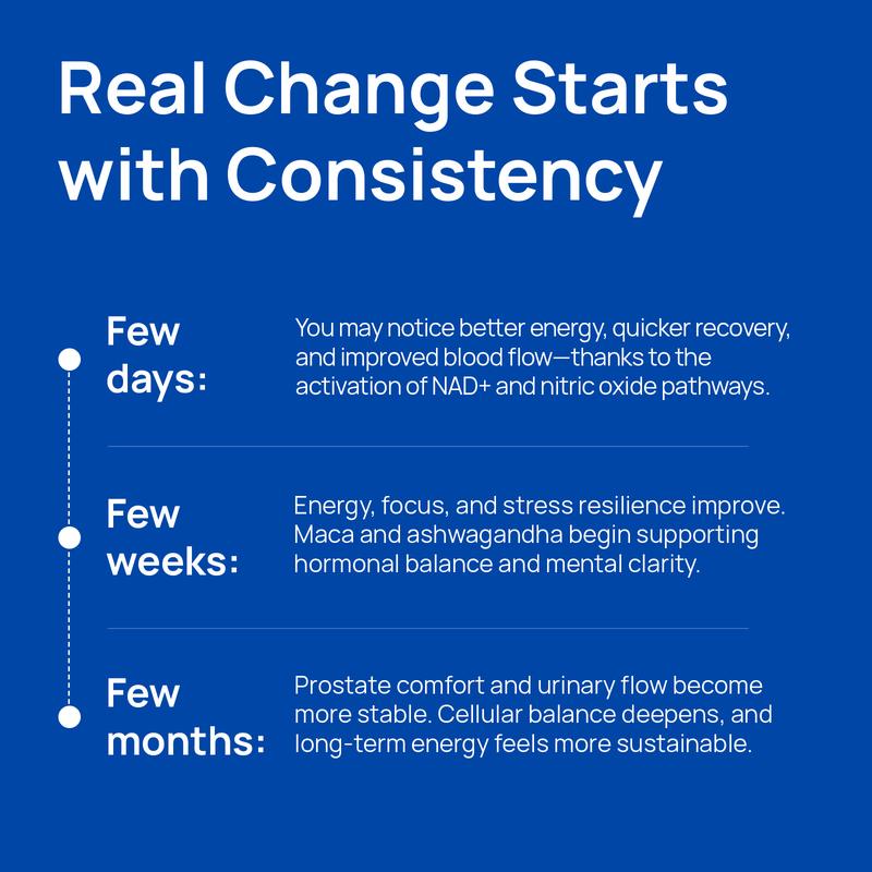 Selerb NAD+ Supplement for Men – With  Liposomal-NAD+,CoQ10, L-Carnitine, L-Arginine, Maca & Ashwagandha Fitness – Energy, Circulation & Prostate Support – 60 Capsules Edible Dietary  Vitamin Healthcare Natural