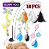 Cat Teaser Toy Set, 10-Piece Interactive Cat Wand and Chasing Stick Toys for Indoor Cats and Kittens #GLOBAL PICKS