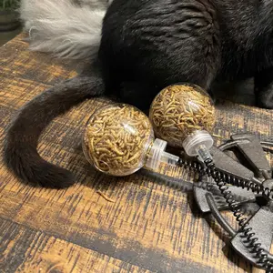 2 Pack Chicken Peck Toy, Chick Slow Feeder Ball & Enrichment Toy, Boredom Toys for Your Flock, Chicken Coop Toys for Hens Birds