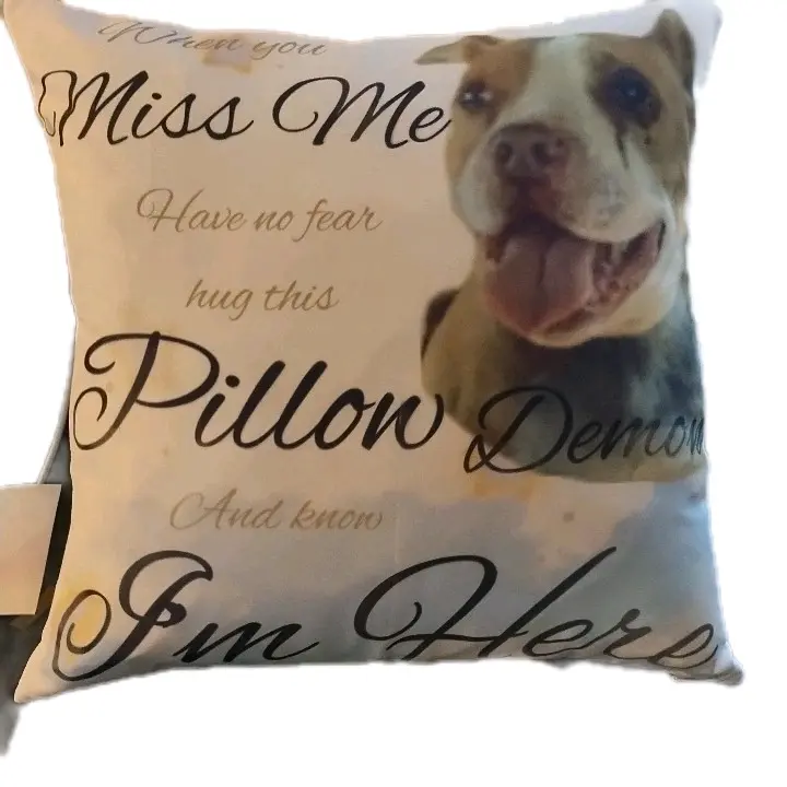 Customized Pillowcase w/ pillow... Create your own image....