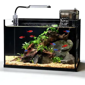 2.8 Gallon Glass Fish Tank Kit Ultra Clear Nano Aquarium with Light and Filter for Betta Fish Desktop Small Fish Tank Starter Kit