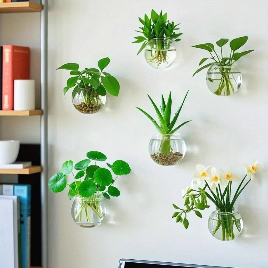 Wall Mounted Hydroponic Vase/ Plants Propagation Station/ Glass Planter Vase, Transparent Wall Planters For Indoor Plants, Oblate Hanging Glass Air Plant Holder (2/4/6)
