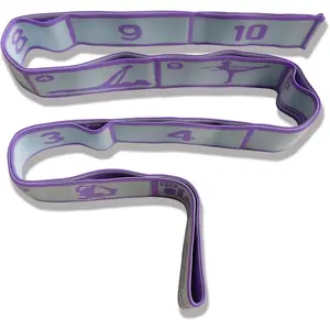 Stretch Bands for Exercise, Elastic Yoga Stretching Strap, Flex Strap 10 Loops for Physical , Pilates, Yoga, Dance & Gymnastics Exercise and Flexible Pilates Stretch Band