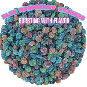 Blue Raspberry Blast Burst Gushers - Sweet Raspberry Flavor Candy Snack