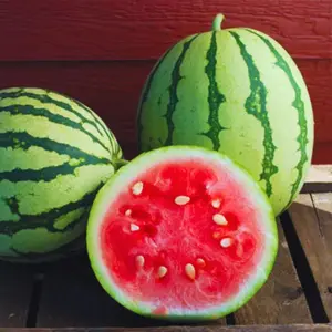 Heirloom Dixie Queen Watermelon Seeds - Grow Seeded Juicy Watermelons