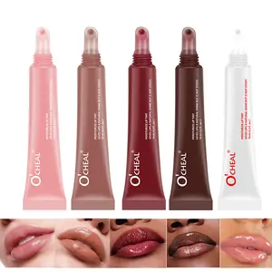 5-Pack Plumping Lip Gloss Oil - Mirror Finish Glass Lips, Hydrating & Transfer-Proof, Juicy Shiny Lip Plumper,Valentine's Day gifts,Send a gift to my girlfriend