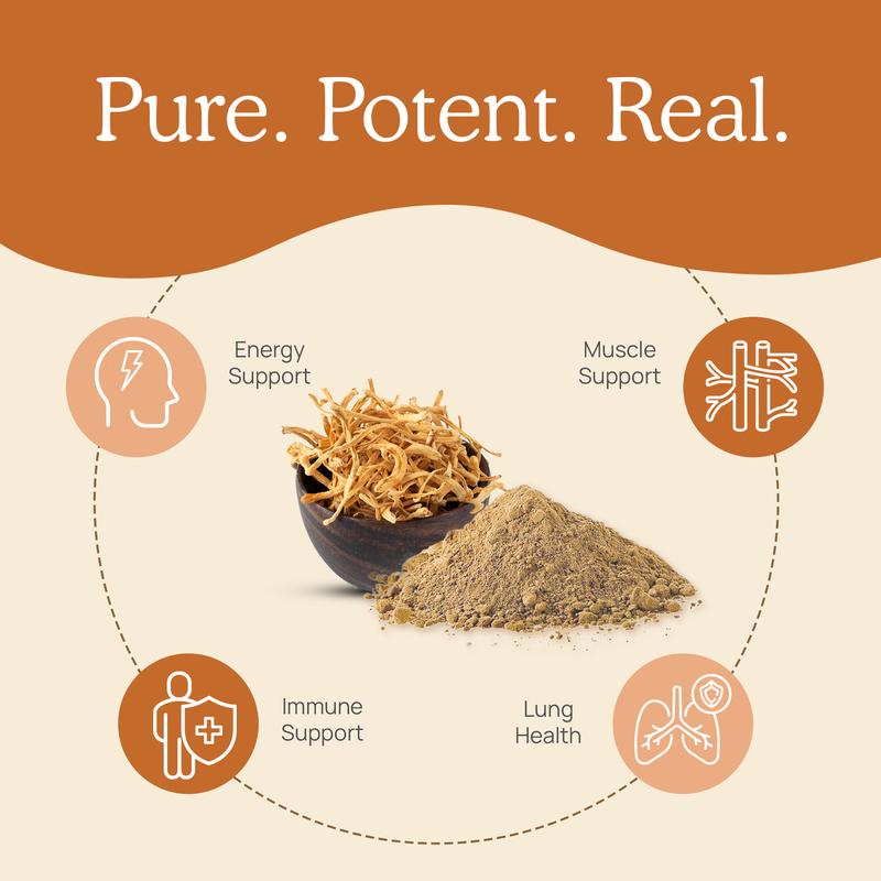 Organic Cordyceps-M Extract Capsules 120 or 300 Count 1000 mg per Serving USDA Certified Gluten Free Non GMO Vegan Energy Health Supplement