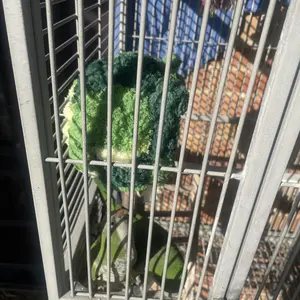 Parrot Warm Cotton Nest, Coral Fleece Insulated Birdhouse, Suitable for small parrots，Hanging buckle parrot warm bed，Bird cage hanging warm nest for parrots，Washable coral fleece parrot nest，Insulated bird hut with hanging loop