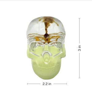 Glow-in-the-Dark Skull with Real Brown Scorpion – Unique Resin Art, Entomology Collectible & Home Decor Ornament, Halloween Gift Spooky Sculpture, Scorpio Unique Gift