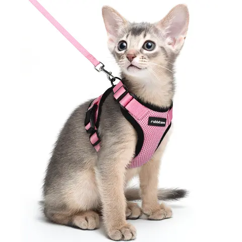rabbitgoo Cat Vest Harness and Leash Set - Escape-Proof, Soft, Adjustable, Breathable Nylon with Reflective Strips for Walking, Exploring, Indoor Use, S/M Sizes, 8.5-11" Neck Fit