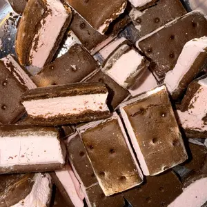 {WINTER EXCLUSIVE} Freeze Dried PEPPERMINT Ice Cream Sandwich Bites - LIMITED TIME - TikTok Viral - Crunchy Ice Cream - Astronaut Candy - NO FREEZER REQUIRED