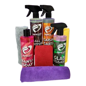 4 Piece Car Care Kit w/ Accessories