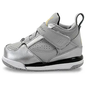 (TD) Air Jordan Flight 45 'Silver Grey' 364759-030
