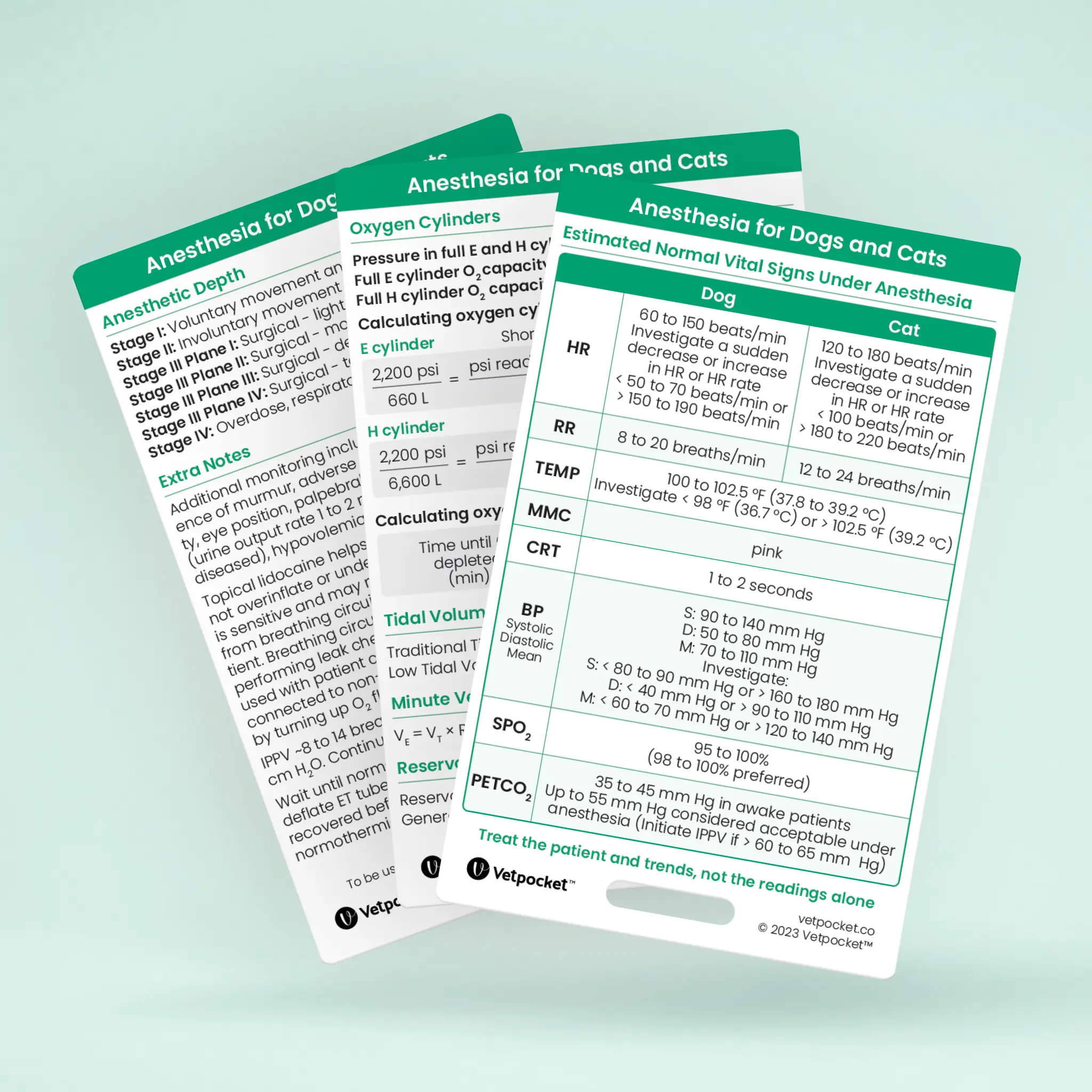 Anesthesia for Dogs and Cats