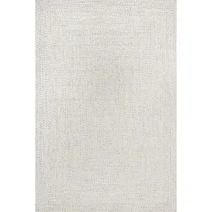 Wynn Braided Indoor/Outdoor Area Rug