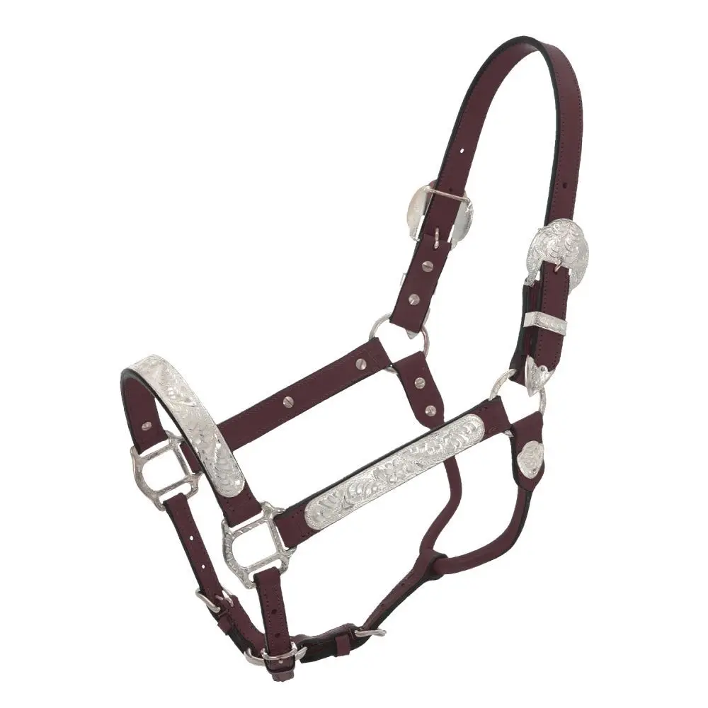 Royal King Silver Show Leather Halter Horse Size