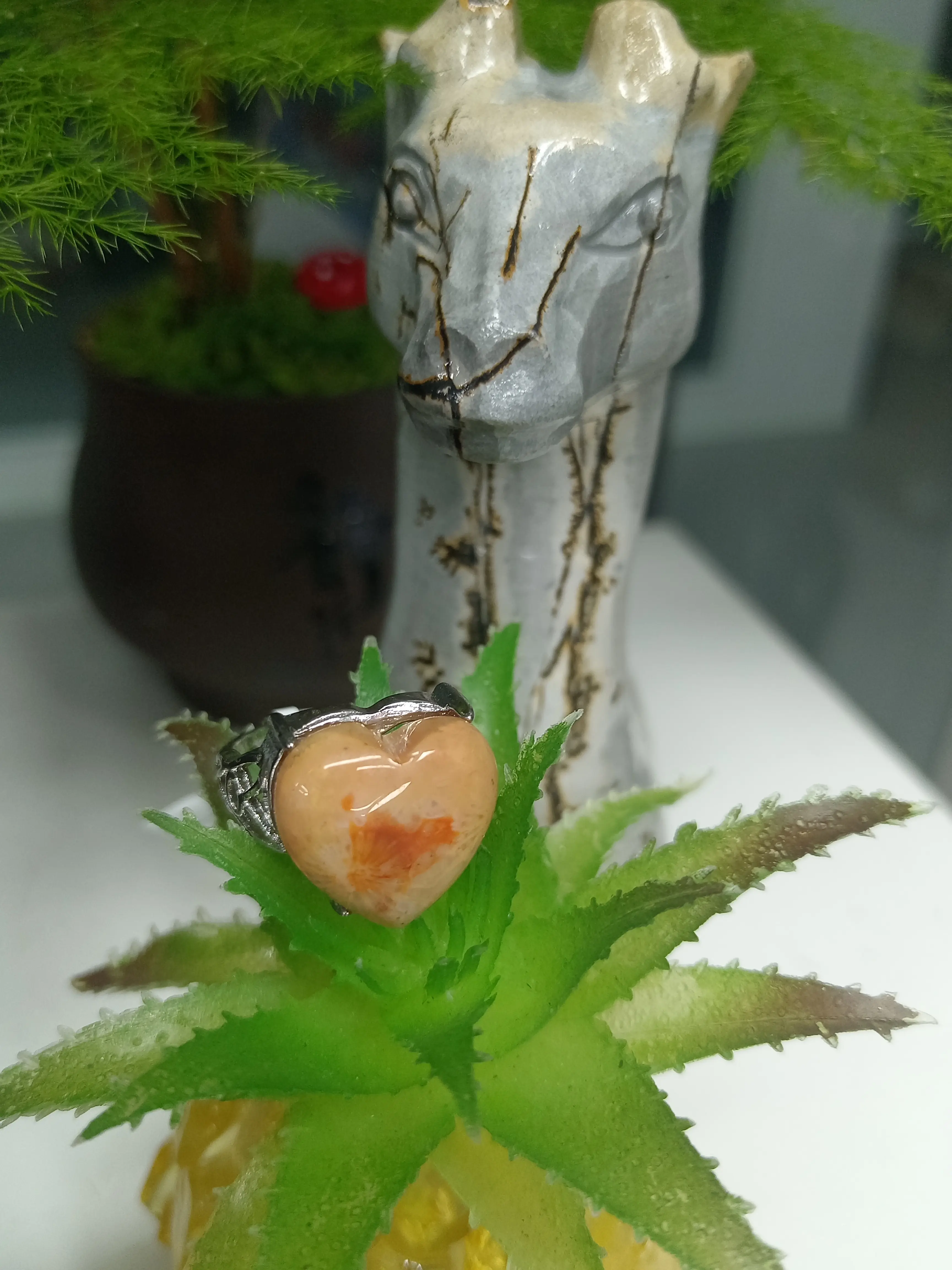 Muly(16715)gc.This coral fossil ring has gorgeous natural grain.