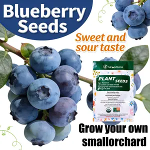Blueberry Seeds for Planting – Easy to Grow Fruit Plants for Home Garden, Beginner Friendly Indoor & Outdoor Gardening