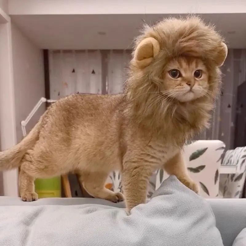 Cute Pet Lion Mane Hat – Funny Cat & Small Dog Costume mask Accessory for bunny Halloween & Cosplay