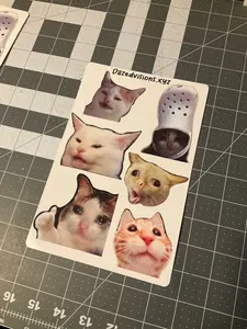 Meme cat sticker pack | bumper sticker | memes | car accessories | CarDecor | funny stickers