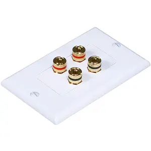 CMPLE  Speaker Wall Plate- High Quality Banana Binding Post for 2 Speaker- Decoro
