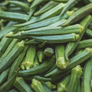 Heirloom Emerald Okra Seeds - Sustainable and Regenerative Organic Gardening Seeds