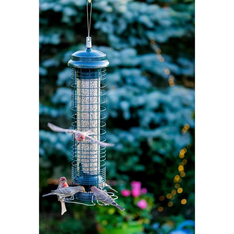 Brome Squirrel Solution 150 Wild Bird Feeder Squirrel-Proof with 4 Perches and Chew-Proof Design