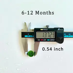 6-12 Month 0.8-1.5cm Marimo Moss Balls: 5/10/20/50PCS beginner house plants best indoor plants Live Marimo Moss Ball Pet - Japanese Algae Ball Marimo Moss Ball Aquarium Plants mossplantpetaquariumdesk cherryblossomtreedecor aquarium plant aquatic plant