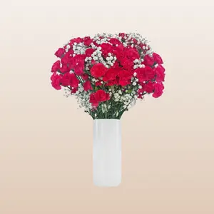 Mini Carnation Hot Pink Bqt