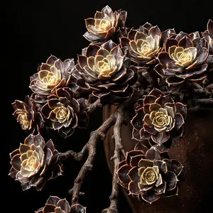 Succulent Rose Seeds – Compact Plants for Containers and Rock Gardens