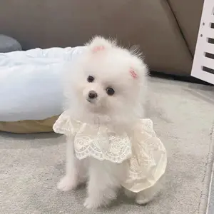 Dog Dress for Puppies, Summer & Spring/Autumn Pet Clothes Costumes for Small Dogs, Teddy, Bichon Frise, Pomeranian, Teacup Dogs & Cats, Thin Style