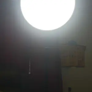 Weilisi Large Ring Light with 79" Stand, 6500K Full-Screen Selfie Ring Light with Stand and Phone Holder, Professional Big Ring Light for Live Stream, YouTube, TikTok, Makeup, Video, Barber, Photography