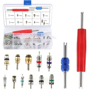 102PCS Car Air Conditioner Valve Core R12 R134a Automotive Air Conditioning Refrigeration Tire Valve Stem with Double Head Dual Dismantling Remover Tool Assortment Kit