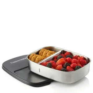 Tupperware Metal Divided Lunch Box Bento