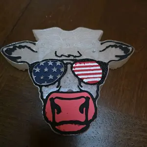 3 for $30 car freshie sale