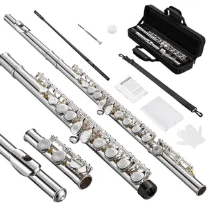 Open Hole C Flute, 16  Student Flute Instrument for Beginner  Player, with Carry Bag, Strap, Gloves, Adjustment , Cleaning Kit (Open/Closed Hole,  Plated)