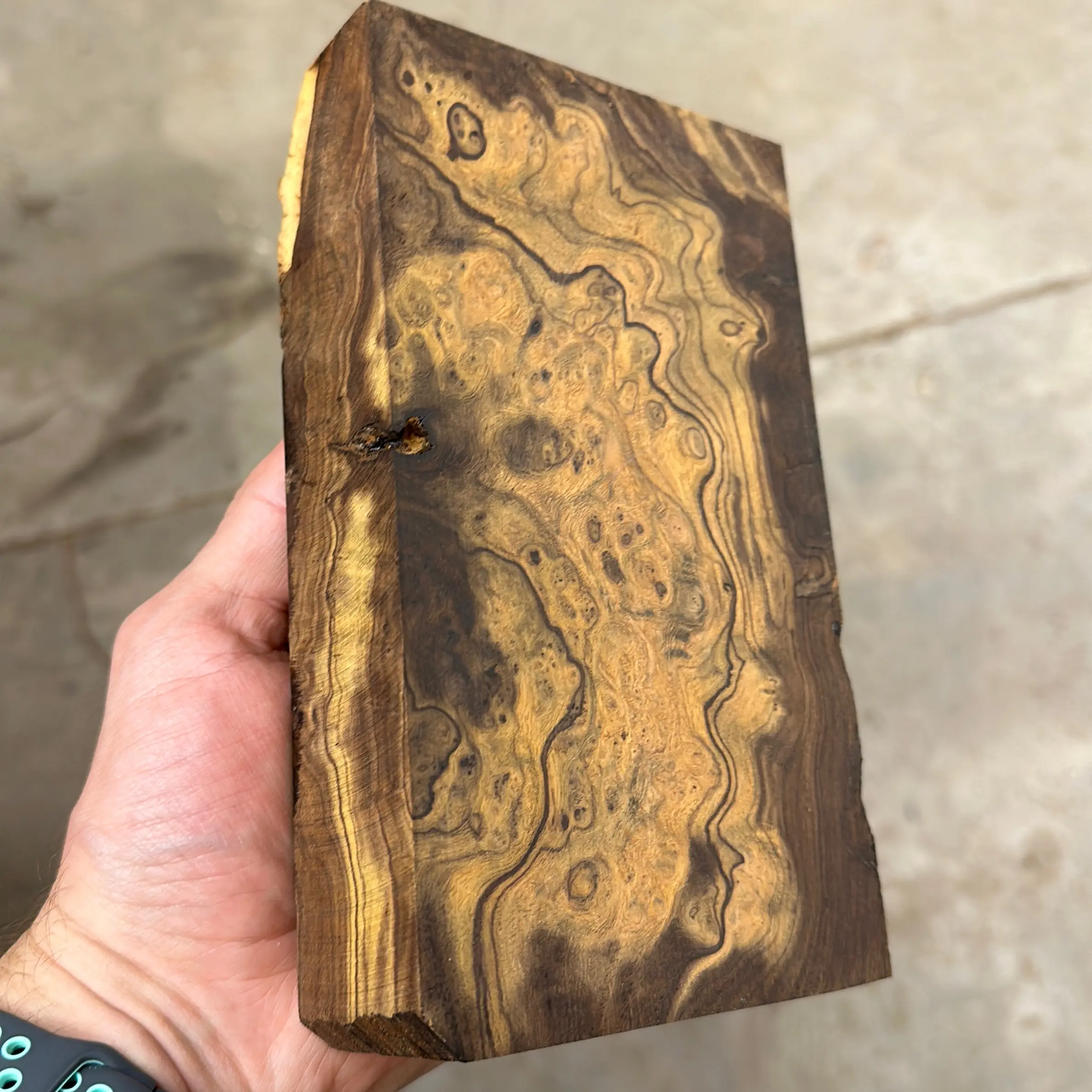 Desert Ironwood Burl - 7 x 4 x 1.6”  $200