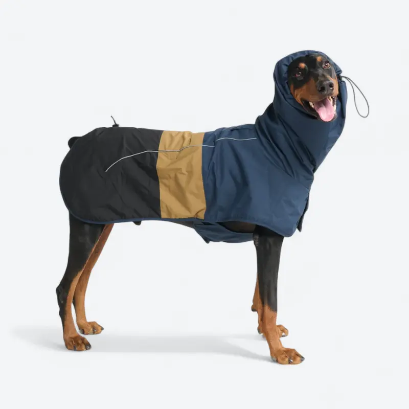 Dog Raincoat - Blue Gold Black
