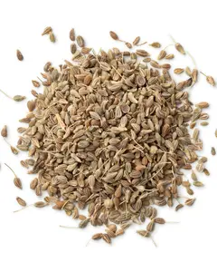Anise Seed Whole | Pimpinella anisum | Culinary Spice & Herbal Tea
