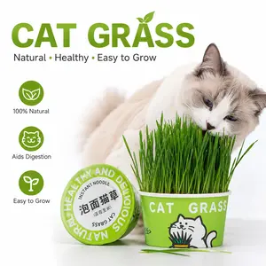 Easy-Grow Pet Grass Planter - Non-GMO Cat Grass for Hairball Control, Digestion & Chewing - Perfect for Cats & Small Dogs