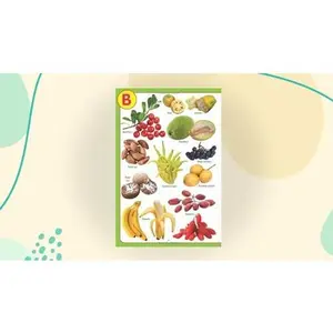 USED-My Jumbo Fruit Pictionary [Paperback] [Jan 01, 2012] NA by Dreamland Publications (Paperback)