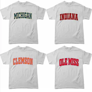 All Team Distressed Varsity College T-Shirt – Ash Grey, Custom Your Team, Perfect for Casual Wear, Game Day Shirt, Gift for Fans, Menswear & Womenswear