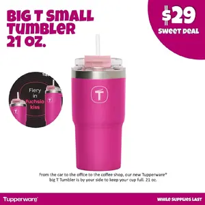 Tupperware BIg T SMALL TUMBLER