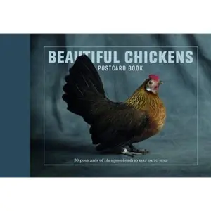 USED-Beautiful Chickens Postcard Book: 30 postcards of champion breeds by Christie Aschwanden (Paperback)