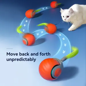 Smart Pet Running Ball