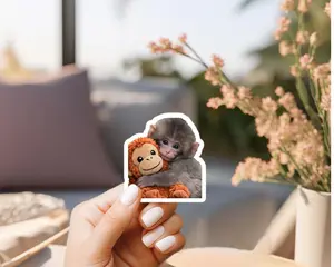 (Set of 2,3,5 pcs) Punchy Monkey Sticker, Viral Baby Monkey Punch Sticker, Laptop Bottle Waterproof Vinyl Decal